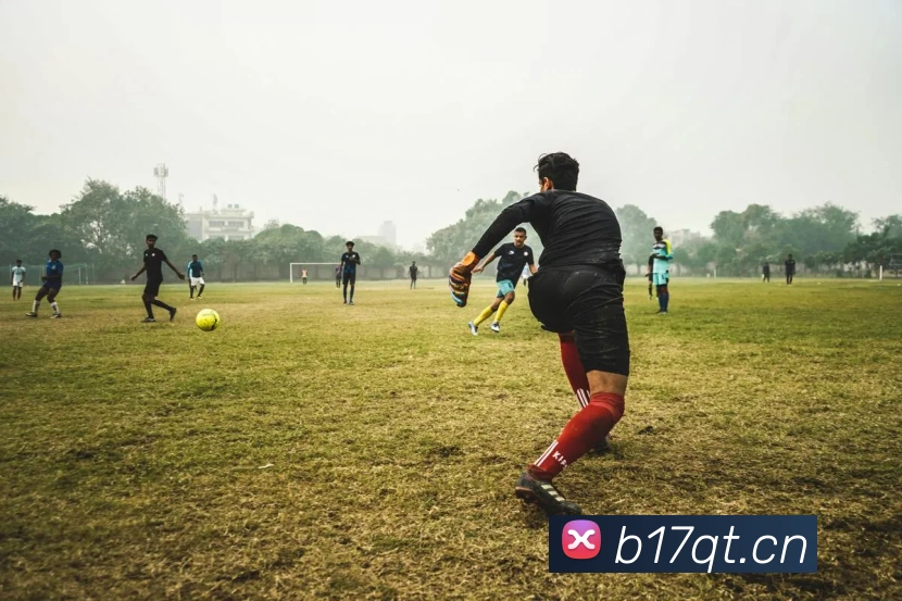 俄罗斯世界杯中国官网平台生态图